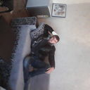 ���������� �����������, ���� ������� ���, 33 ����, ������������ 