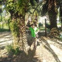 ���������� ��������, ���� ������� �����, 41 ���, ������������ ��� ������, ����� � ���������