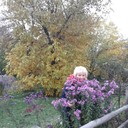 ���������� ����� �������, ���� ������� ������, 63 ����, ������������ ��� ����� � ���������, c�������� ���������