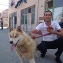 ���������� �����������, ���� ������� ������, 43 ����, ������������ ��� ������, ����� � ���������, c�������� ���������