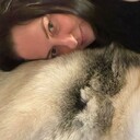 ���������� ������, ���� ������� ������, 43 ����, ������������ ��� ������, ����� � ���������