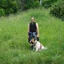 ���������� ������, ���� ������� �����, 38 ���, ������������ ��� ������, ����� � ���������, c�������� ���������