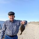 ���������� �����������, ���� ������� �����, 63 ����, ������������ ��� ������, ����� � ���������, c�������� ���������