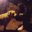 ���������� �����, ���� ������� ������, 29 ���, ������������ ��� ������, ����� � ���������, c�������� ���������, ���������