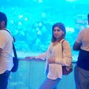 ���������� ������, ���� ������� ��������, 40 ���, ������������ ��� ���������