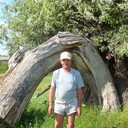 ���������� ��������, ���� ������� ����, 71 ���, ������������ ��� ������