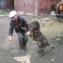  ,   , 34 ,   ,   , c 