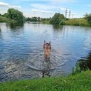 ���������� ������, ���� ������� ������, 38 ���, ������������ ��� ������, ����� � ���������