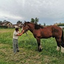 ���������� ����, ���� ������� Mihasj, 47 ���, ������������ ��� ������, ����� � ���������, c�������� ���������