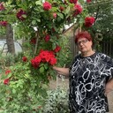 ���������� ������, ���� ������� ��������, 62 ����, ������������ ��� c�������� ���������, ���������