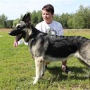 ���������� �����, ���� ������� ����, 47 ���, ������������ ��� c�������� ���������