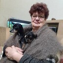  ,   , 66 ,   ,   