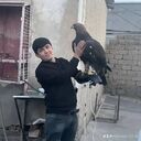  -,   , 29 ,     , c 