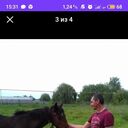 ���������� ���������, ���� ������� ���������, 55 ���, ������������ ��� ����� � ���������