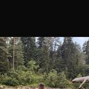 ���������� ����������, ���� ����� ������, 22 ����, ������������ ��� ������, ����� � ���������