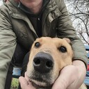 ���������� ���������, ���� ������� �������, 49 ���, ������������ ��� ������, ����� � ���������, c�������� ���������, ���������