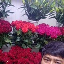 ���������� ����, ���� ������� ������, 29 ���, ������������ ��� ������, ����� � ���������