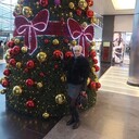 ���������� ������, ���� ������� �������, 58 ���, ������������ ��� ����� � ���������, c�������� ���������