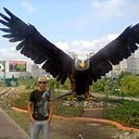 ���������� ����, ���� ������� �����, 41 ���, ������������ ��� ������, ����� � ���������, c�������� ���������