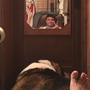 ���������� ���������, ���� ������� ������, 45 ���, ������������ ��� ����� � ���������, c�������� ���������