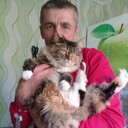 ���������� ��������, ���� ������� ����, 50 ���, ������������ ��� ������, ����� � ���������, c�������� ���������