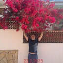  ,   , 51 ,     , c 