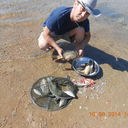 ���������� ������, ���� ������� Saken, 54 ����, ������������ ��� ������, ����� � ���������, c�������� ���������, ���������