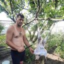  ,   , 45 ,   ,   , c , 