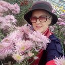  ,    , 62 ,   ,   , c , 