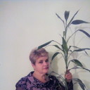  ,   , 62 ,   ,   , c 