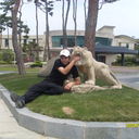 ���������� ���������, ���� ������� Sherik, 41 ���, ������������ ��� ������, ����� � ���������, c�������� ���������