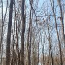 ���������� ���������, ���� ������� Lana, 54 ����, ������������ ��� c�������� ���������