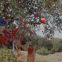  --,   , 44 ,     , c 