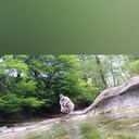 ���������� ����, ���� ������� Bek, 36 ���, ������������ ��� ������, ����� � ���������, c�������� ���������