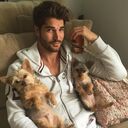 ���������� ������, ���� ������� David, 34 ����, ������������ ��� ������, ����� � ���������, c�������� ���������