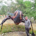  ,   , 39 ,   ,   , c , 