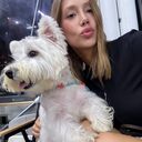  -,   , 23 ,   ,   