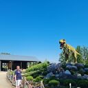 ���������� ����, ���� ������� ����, 44 ����, ������������ ��� ����� � ���������, c�������� ���������