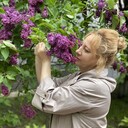 ���������� ������, ���� ������� �����, 50 ���, ������������ ��� ������, ����� � ���������, c�������� ���������, ���������