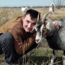 ���������� ������, ���� ������� ������, 35 ���, ������������ ��� ������, ����� � ���������, c�������� ���������, ���������