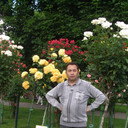  Ashqelon,   , 71 ,   
