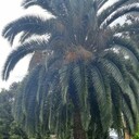 ���������� ������, ���� ������� �������, 45 ���, ������������ ��� ������, ����� � ���������