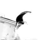 ���������� ���������, ���� ����� ������, 25 ���, ������������ ��� ������, ����� � ���������, ���������