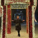 ���������� Cermany, ���� ������� ������, 37 ���, ������������ ��� ������, ����� � ���������, c�������� ���������, ���������