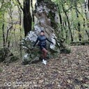 ���������� �������, ���� ������� ������, 46 ���, ������������ 