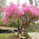   ,   , 59 ,   ,   , c 