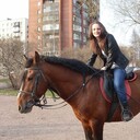 ���������� �����-���������, ���� ������� ����, 23 ����, ������������ ��� ������, ����� � ���������, ���������