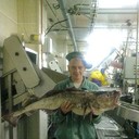 ���������� ���������������, ���� ������� ����, 39 ���, ������������ ��� ������, ����� � ���������, c�������� ���������