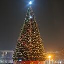 ���������� �������, ���� ������� �����, 48 ���, ������������ ��� c�������� ���������