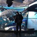 ���������� ��������, ���� ������� �����, 35 ���, ������������ ��� ������, ����� � ���������